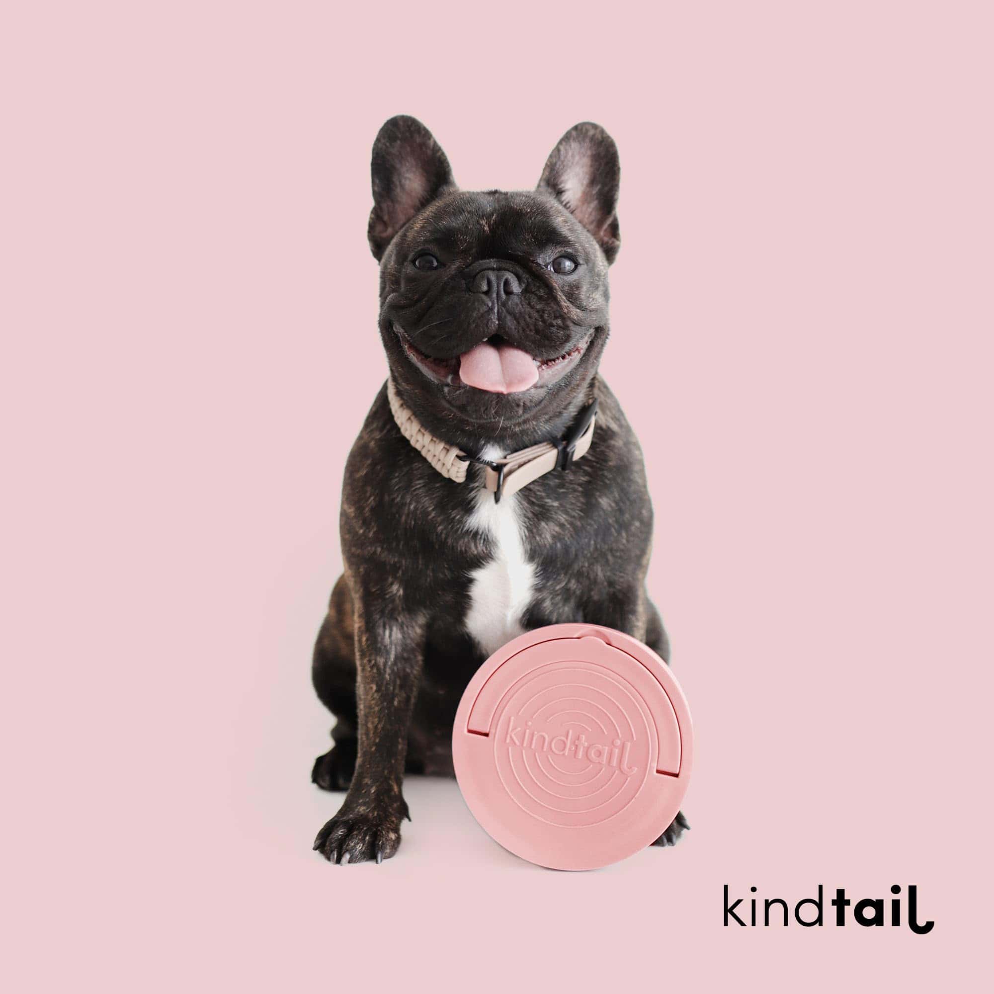 Kind Bowls, Bowls de Viaje para Perros, Bowls Portátiles - Imagen 7