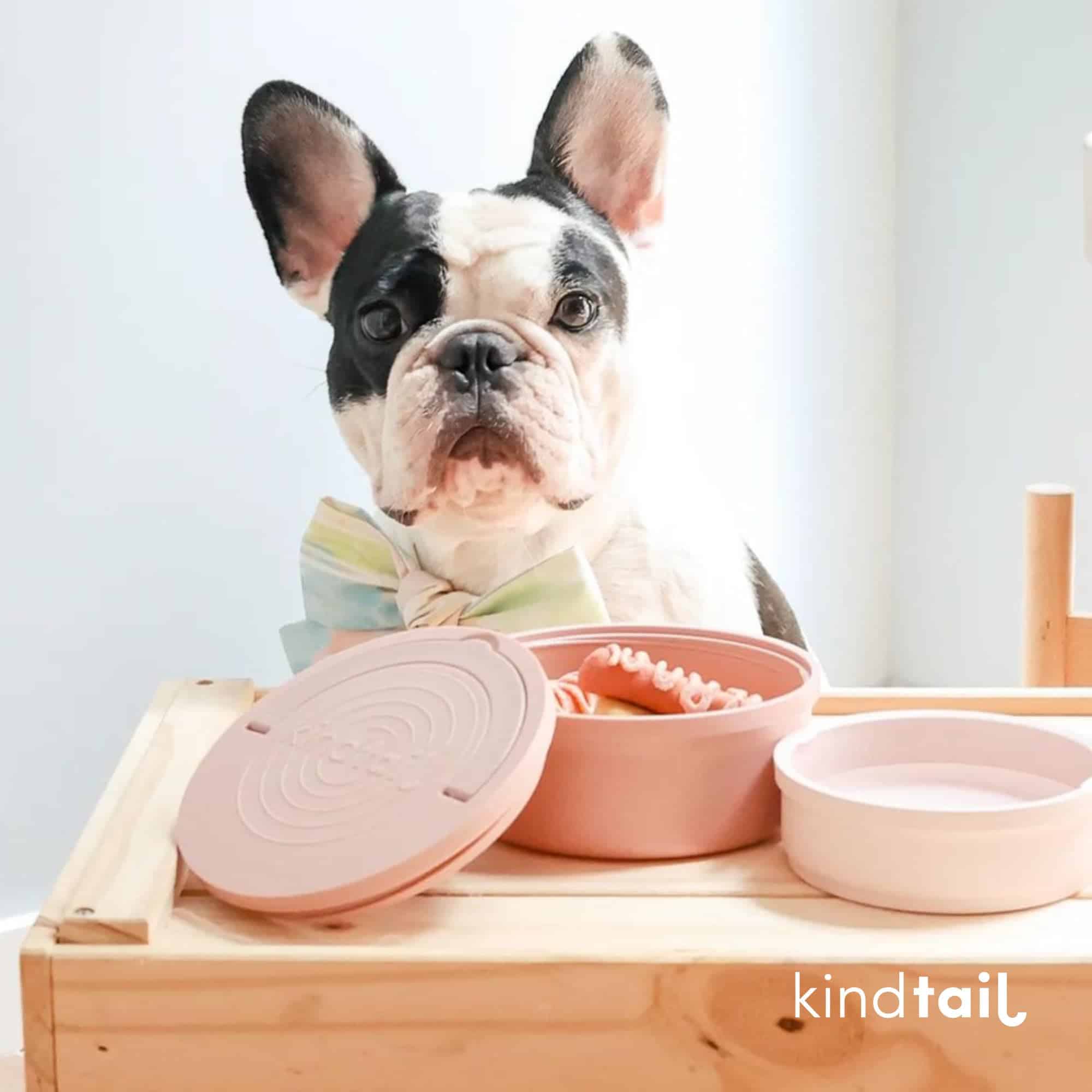 Kind Bowls, Bowls de Viaje para Perros, Bowls Portátiles - Imagen 10