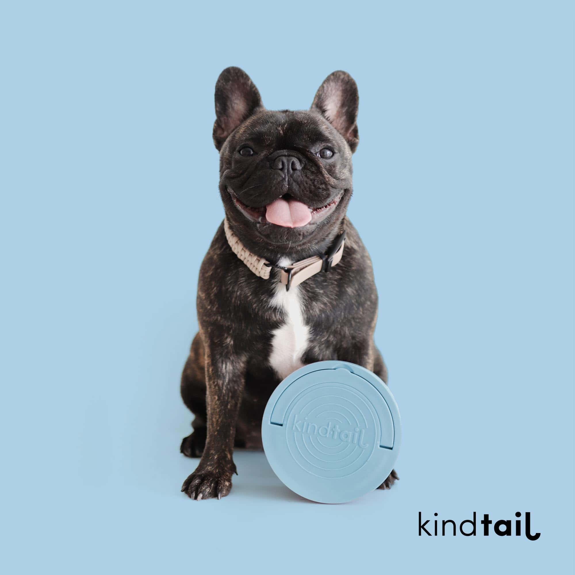 Kind Bowls, Comederos de Viaje para Perros, Comederos - Imagen 7