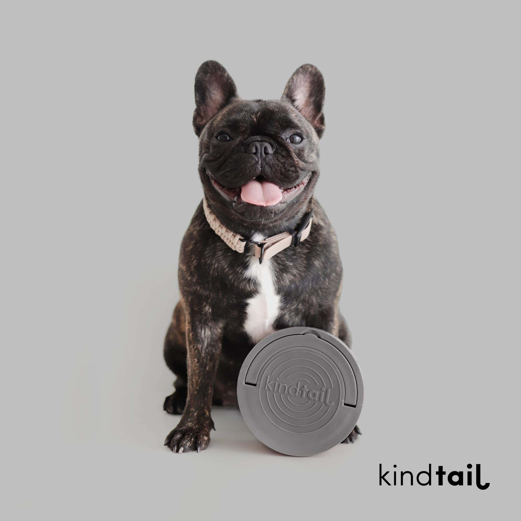 Kind Bowls, Bowls de Viaje para Perros, Bowls Portátiles - Imagen 7