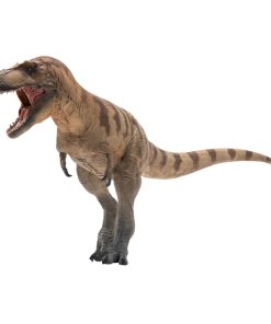 Modelos de Dinosaurios Prehistóricos PNSO (73 Cole The