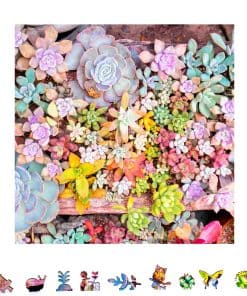 Rompecabezas de Madera ZenChalet Garden Succulents de 1000