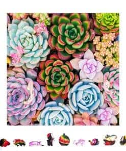 Rompecabezas de Madera ZenChalet Succulent Sensation de