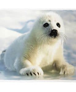 Manta de Sherpa Blanca de 60"x80" con Diseño de Foca Blanca