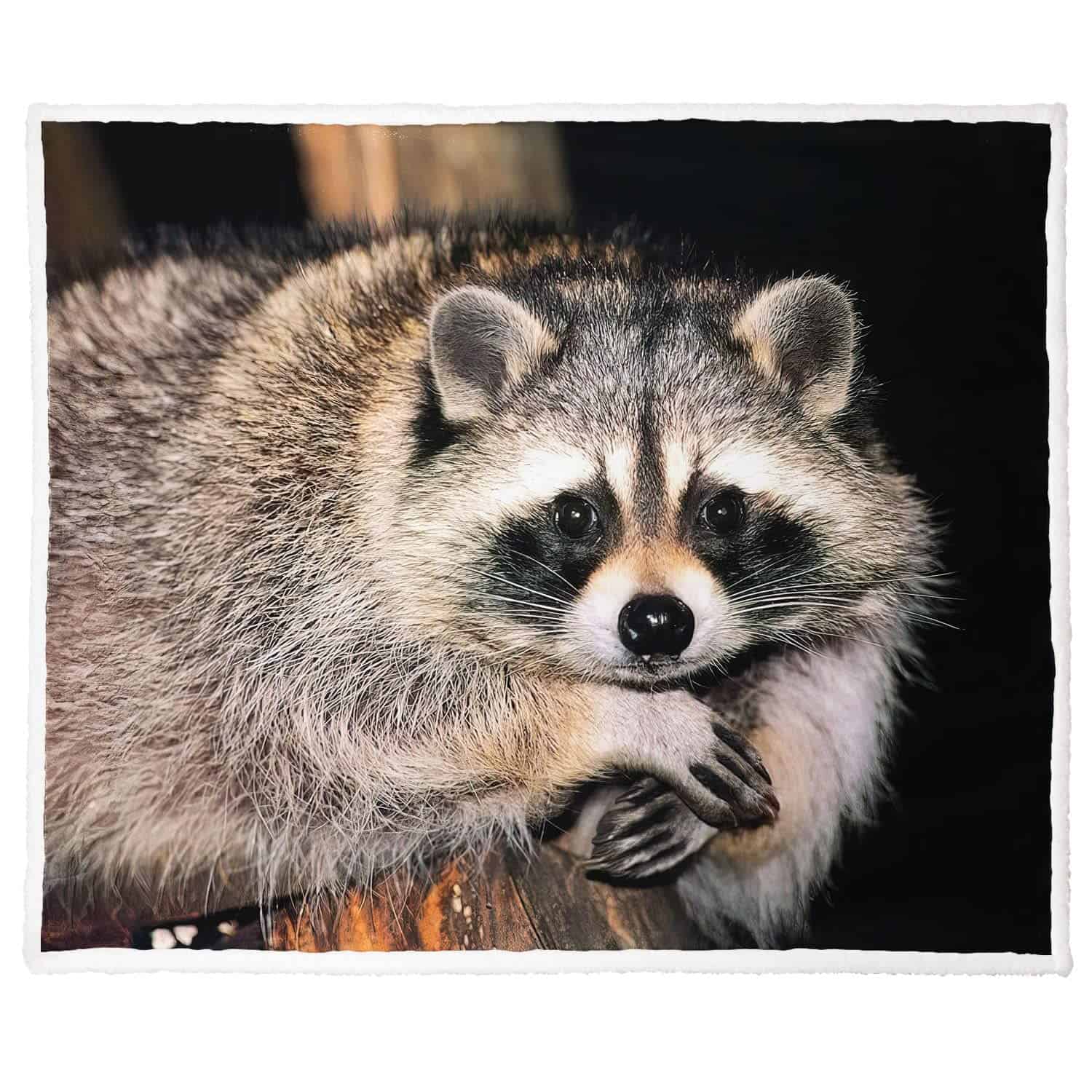 Manta XSMEI de 50"x60" con Estampado de Mapache Sherpa -