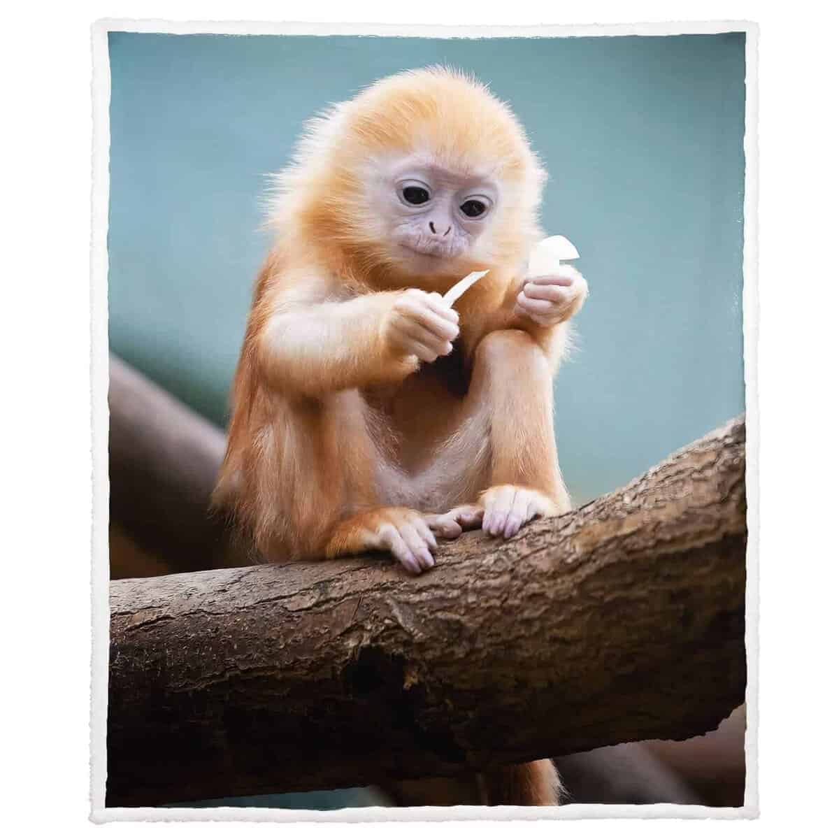 Manta XSMEI de 50"x60" con Estampado de Mono Dorado de