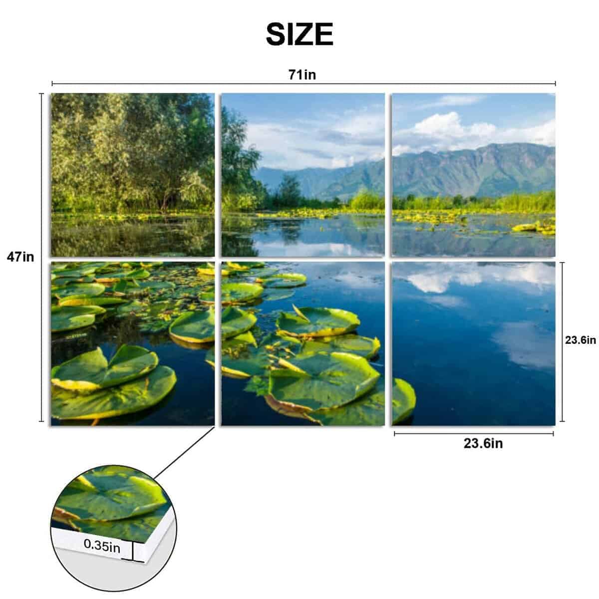 6 Pack Paneles Acústicos de Arte Plantas Acuáticas Lago - Imagen 3