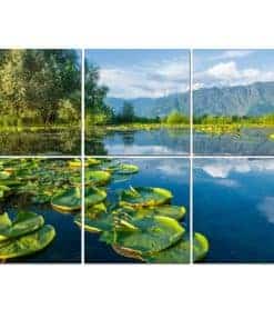 6 Pack Paneles Acústicos de Arte Plantas Acuáticas Lago