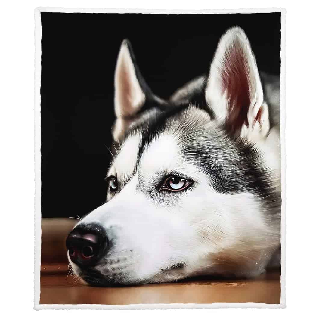 Manta de Sherpa SXCHEN para Sofá Cama Cálida -Husky