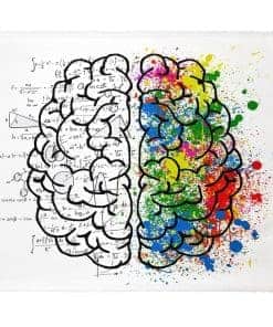 Manta de Sherpa SXCHEN para Sofá Cama Cálida - pulgadas