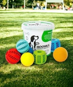 Juego de Pelotas para Perros Duraderas Hooska - Juguetes