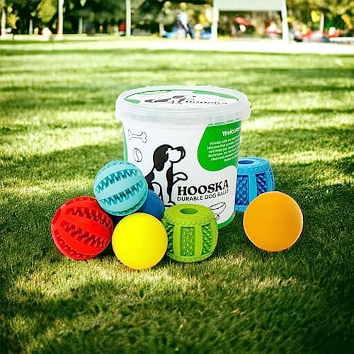 Juego de Pelotas para Perros Duraderas Hooska - Juguetes