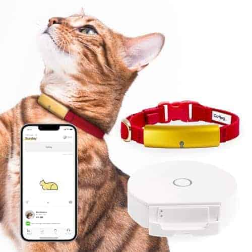 Catlog Smart Collar (Rojo, XXL) - Collar Inteligente para