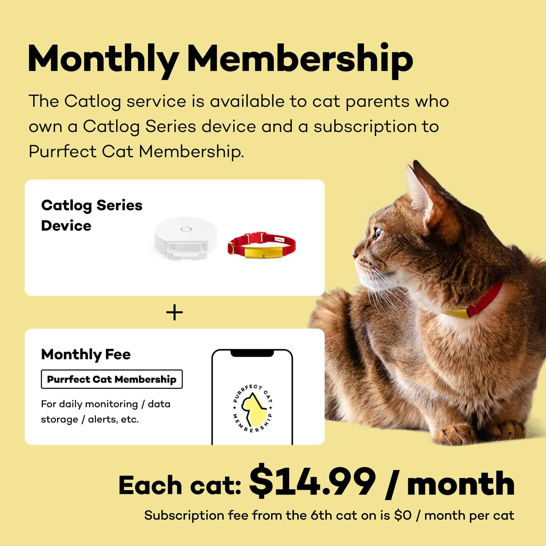 Collar Inteligente Catlog (Rojo, L) - Collar Inteligente - Imagen 7