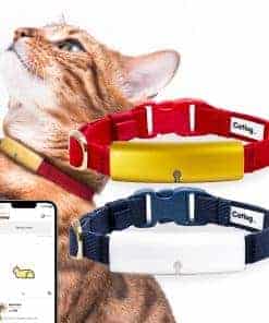 Collar Inteligente Catlog (Rojo, L) - Collar Inteligente