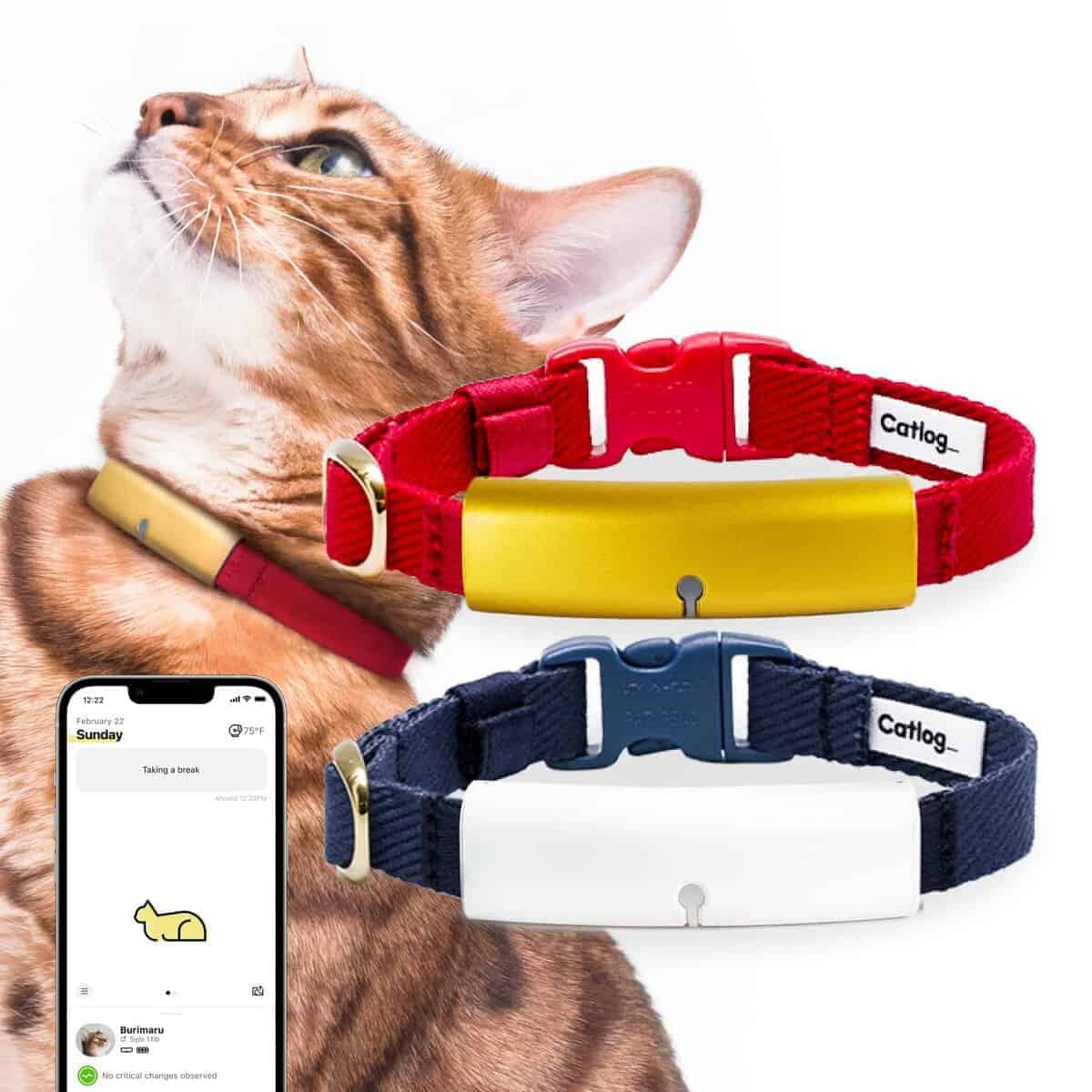 Collar Inteligente Catlog (Rojo, L) - Collar Inteligente