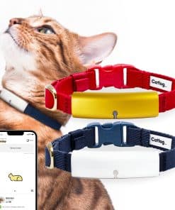 Collar Inteligente Catlog (Azul y Blanco, M) - Collar