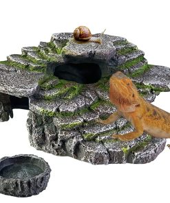 Plataforma de Descanso para Dragón Barbudo, Accesorios para