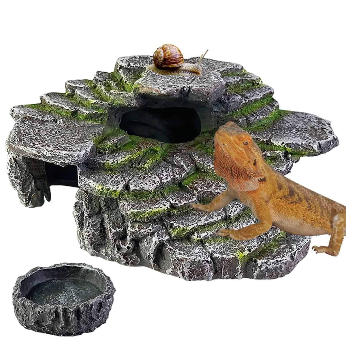 Plataforma de Descanso para Dragón Barbudo, Accesorios para