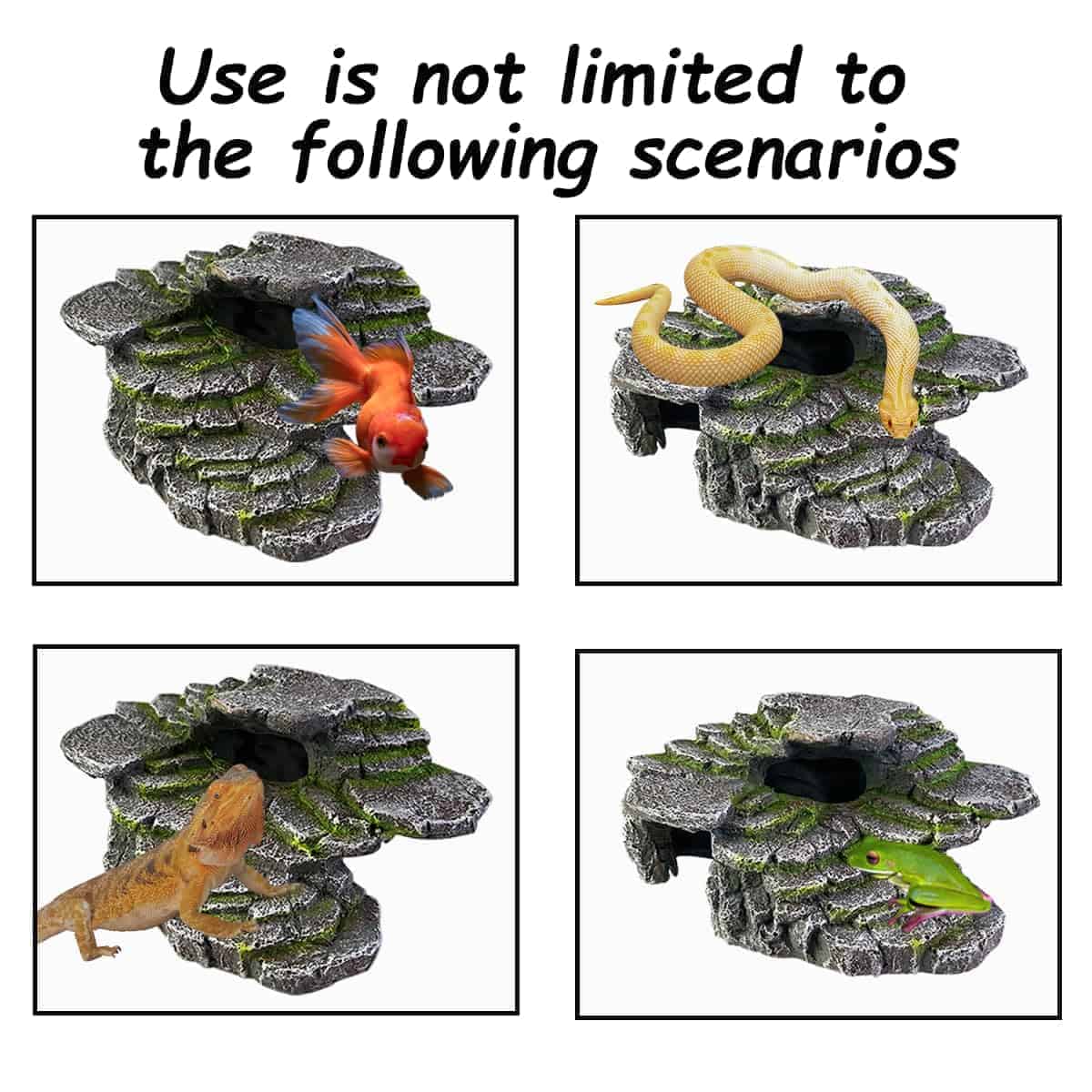 Plataforma de Descanso para Dragón Barbudo, Accesorios para - Imagen 5