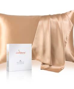 Funda de Almohada de Seda 100% Pura de -Champán