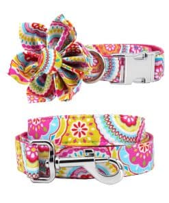 Collar y Correa para Perro con Flor para Perro Hembra