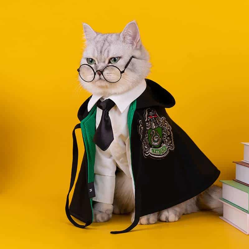 Aslike Capa de Perro Gato Disfraces Halloween Accesorios de - Imagen 3