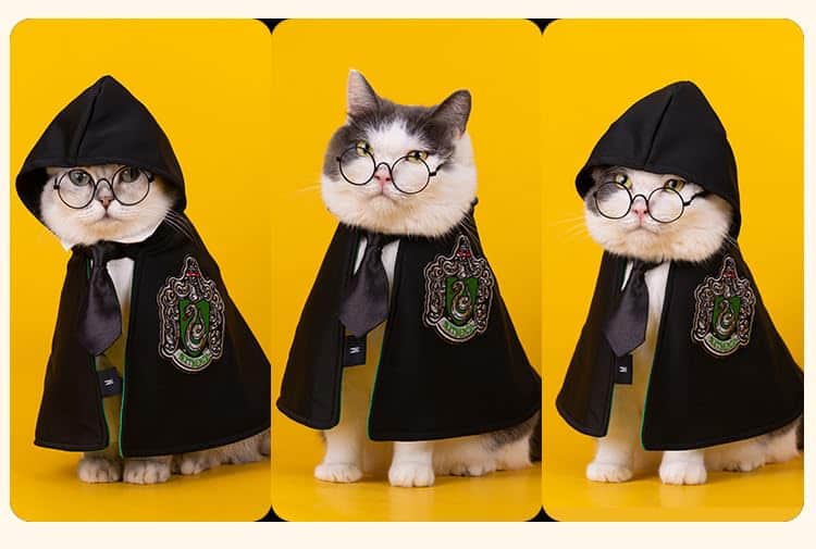 Aslike Capa de Perro Gato Disfraces Halloween Accesorios de - Imagen 4