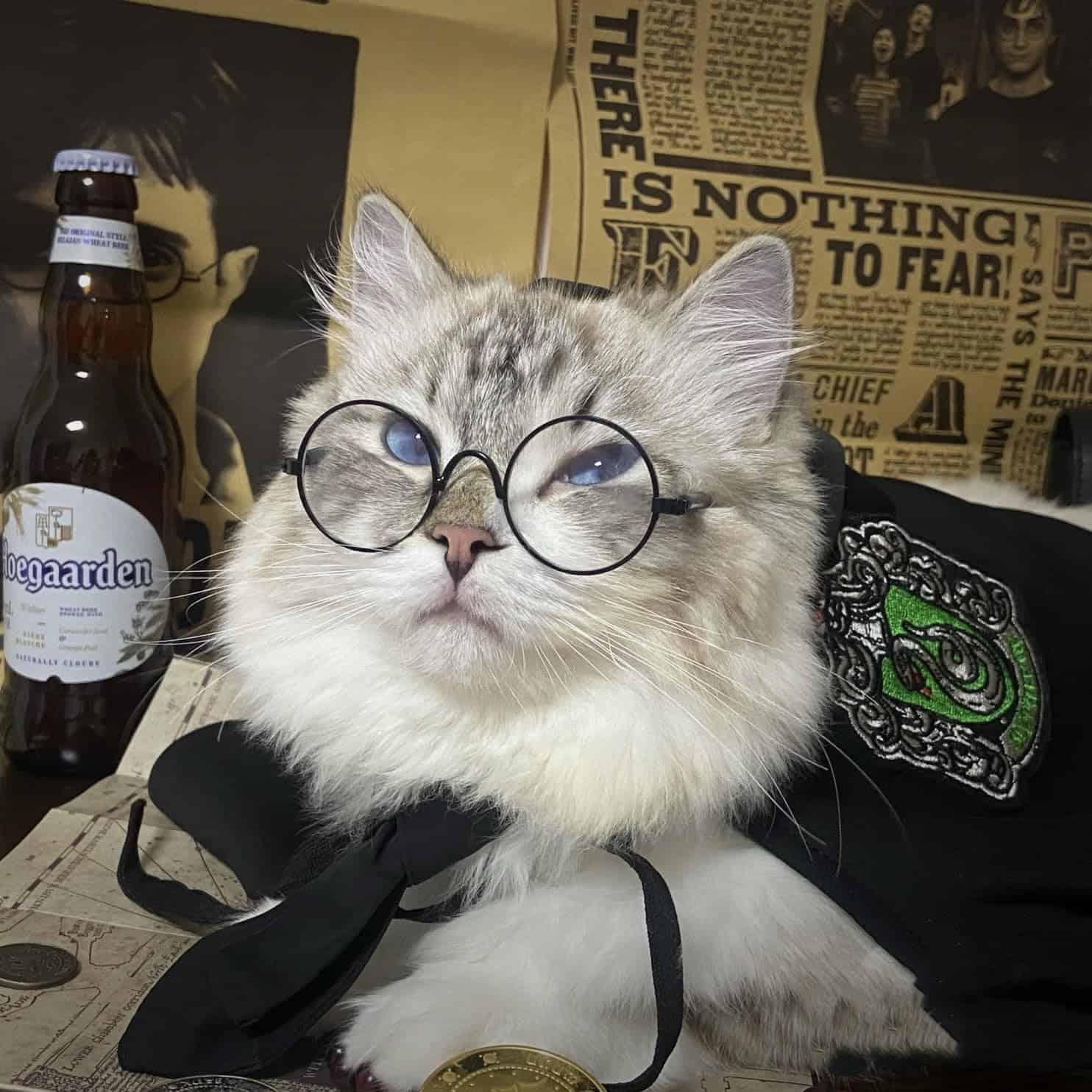 Aslike Capa de Perro Gato Disfraces Halloween Accesorios de - Imagen 7