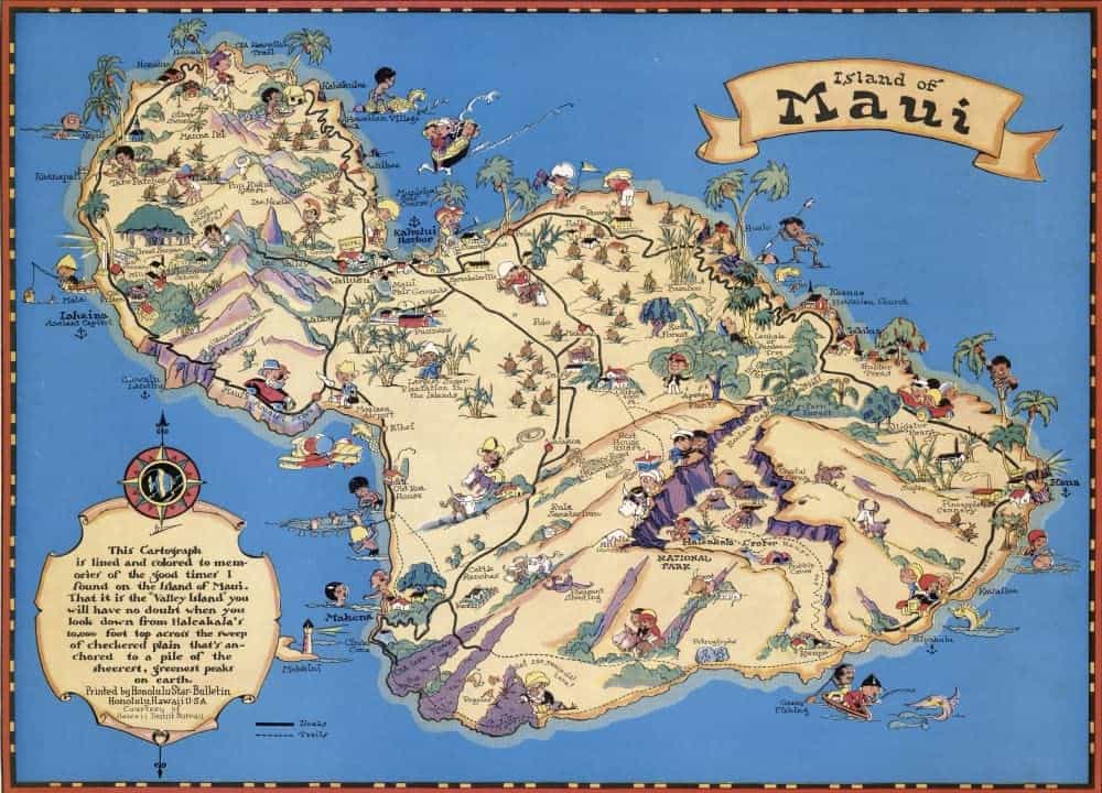 Rompecabezas de 1000 piezas para adultos | -Multicolor - Imagen 5