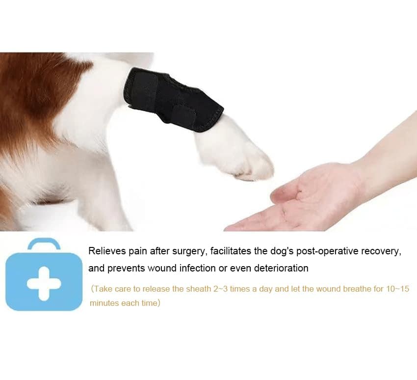 Par de Bragas de Compresión para Articulaciones de Pata - Imagen 4