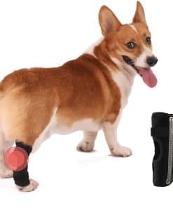 Par de Bragas de Compresión para Articulaciones de Pata