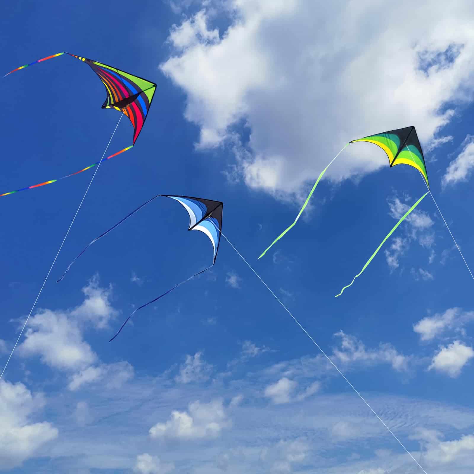 Paquete de 3 Cometas Delta Mint's Colorful Life para Niños - Imagen 7