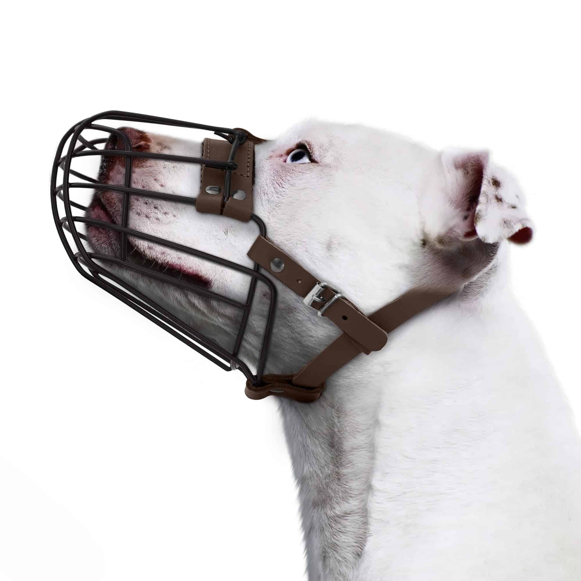 Bozal de metal transpirable para Pitbull con cesta para - Imagen 6