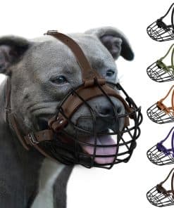 Bozal de metal transpirable para Pitbull con cesta para