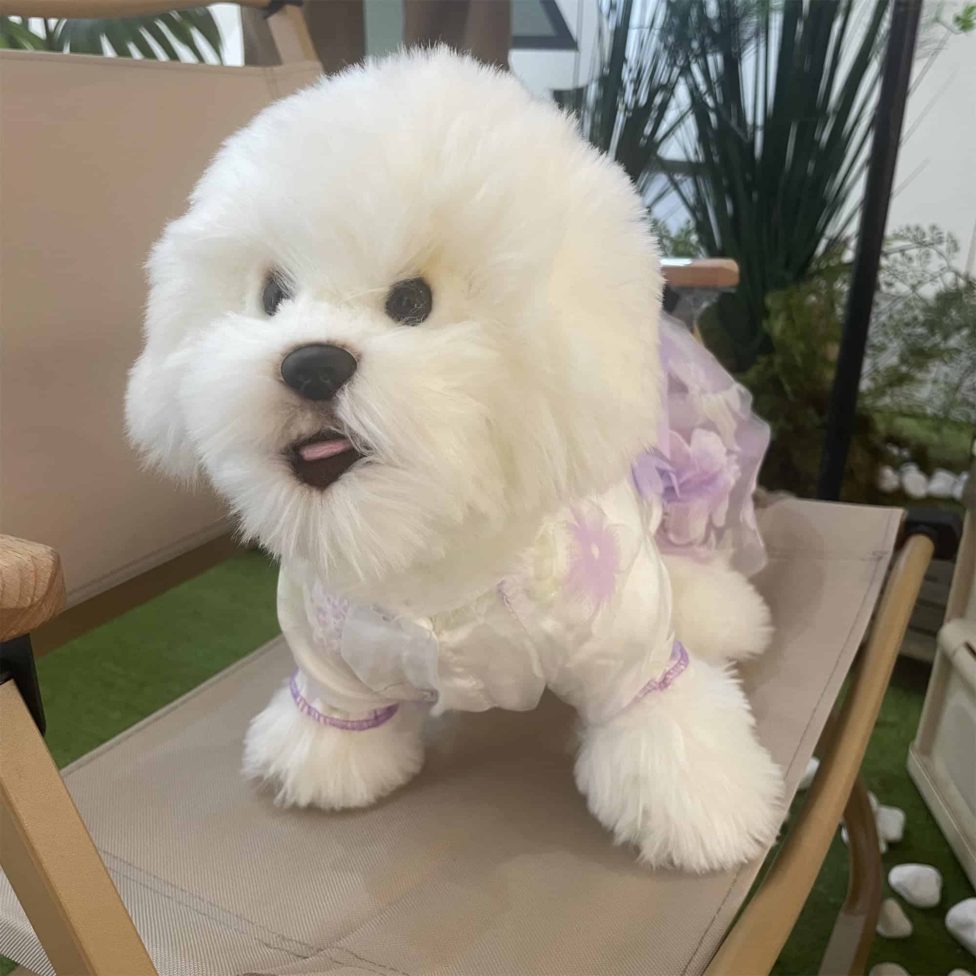 Vestido de Perrito Fespmor Puppy Fancy Flower para Perros - Imagen 5