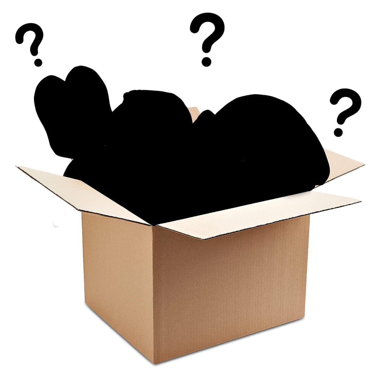 Pokemon Peluche Tipo Planta 8" Caja Sorpresa Surtido, - Imagen 3