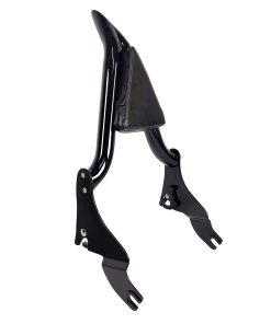 Respaldo Desmontable para Motocicleta Dredoggmoto con