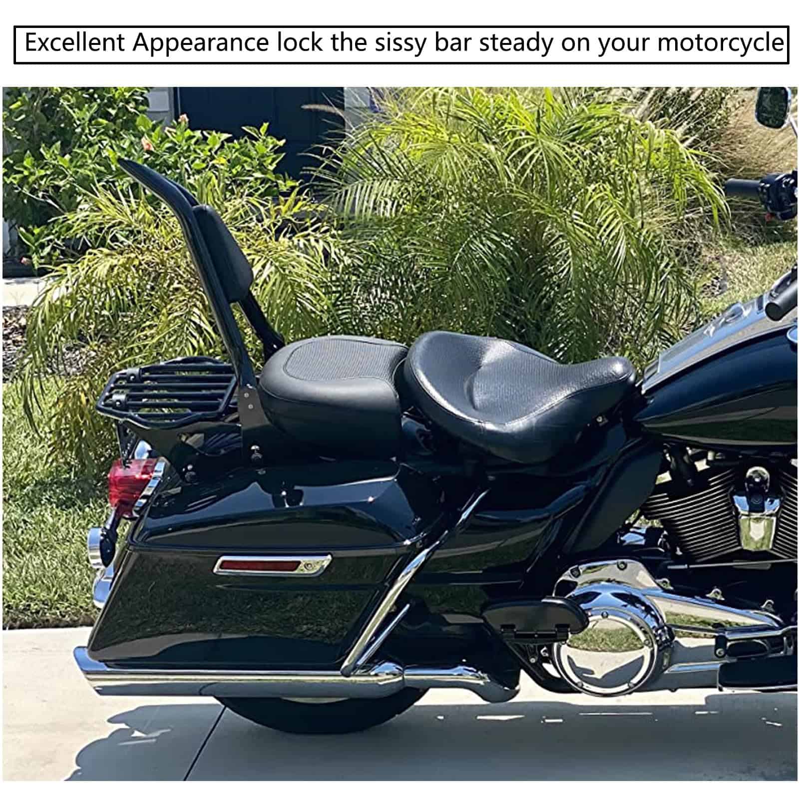 Respaldo Desmontable para Motocicleta Dredoggmoto con - Imagen 4