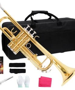 Trompeta Bb Estándar LOMUTY para Banda Escolar Orquesta