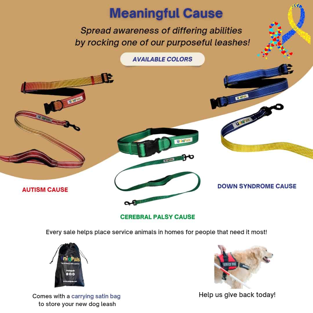 Correa manos libres UNIQPALS para perros pequeños a grandes - Imagen 8