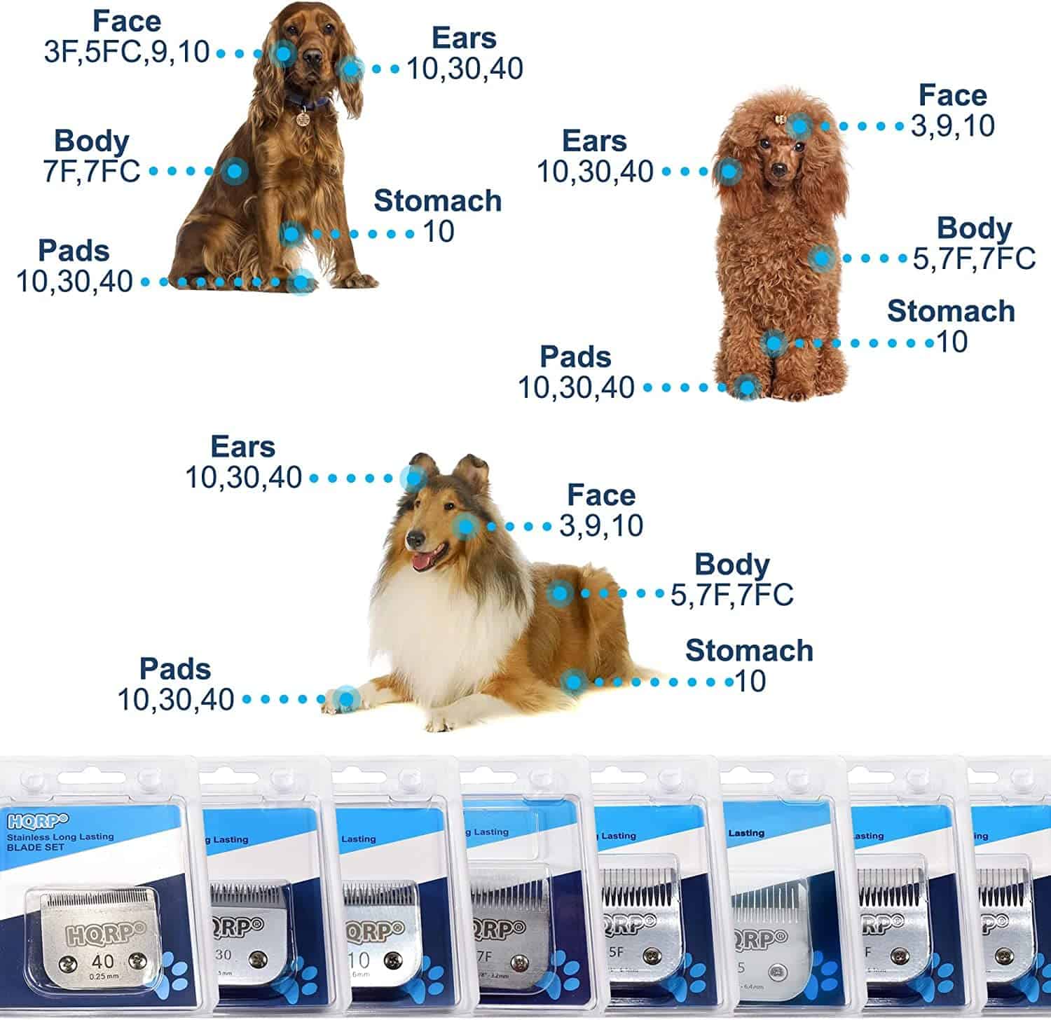 Hoja de corte para animales de tamaño 10 ancho compatible - Imagen 8