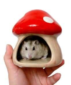 Casa de hámster en forma de champiñón de cerámica YZHZOM