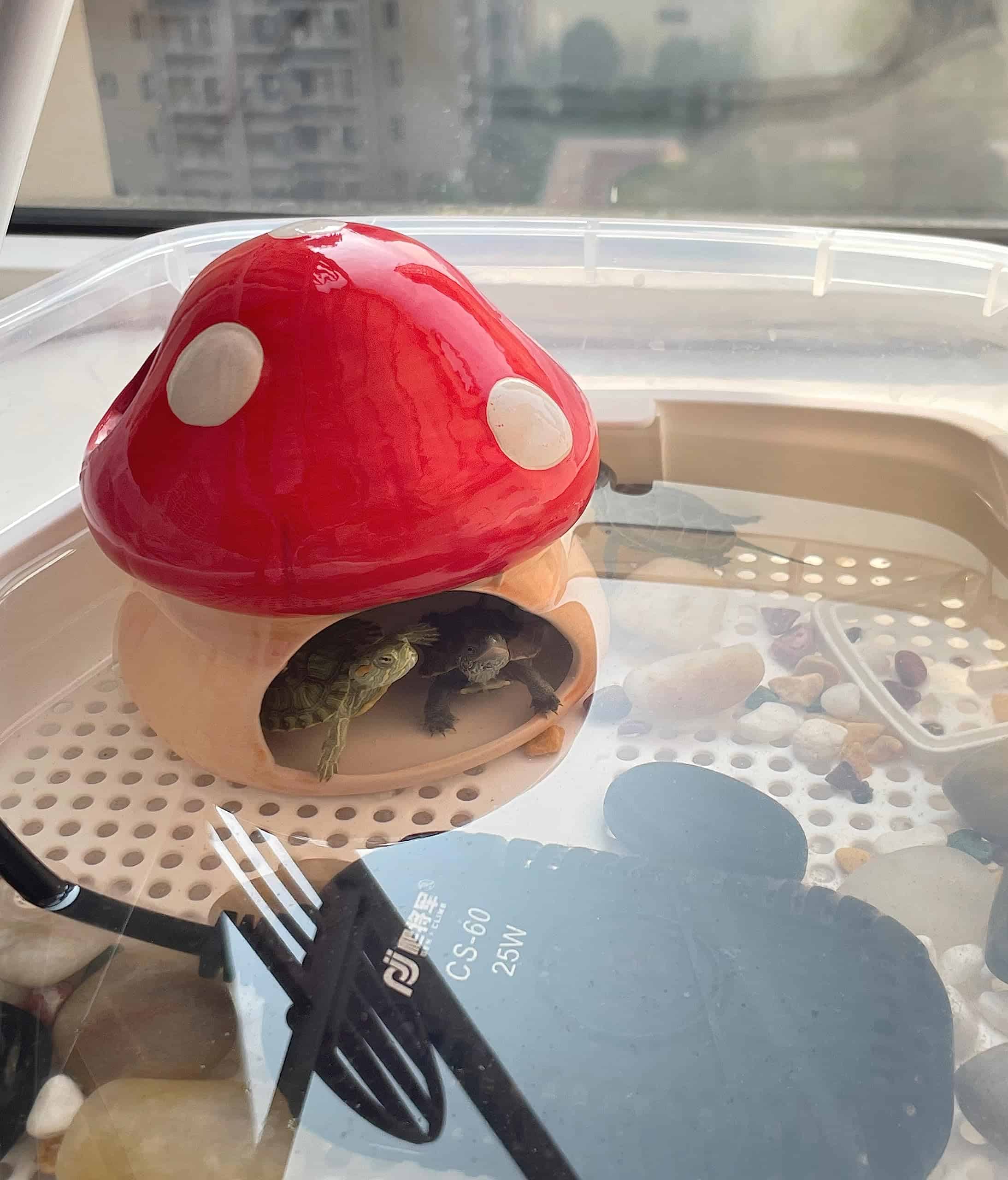 Casa de hámster en forma de champiñón de cerámica YZHZOM - Imagen 4