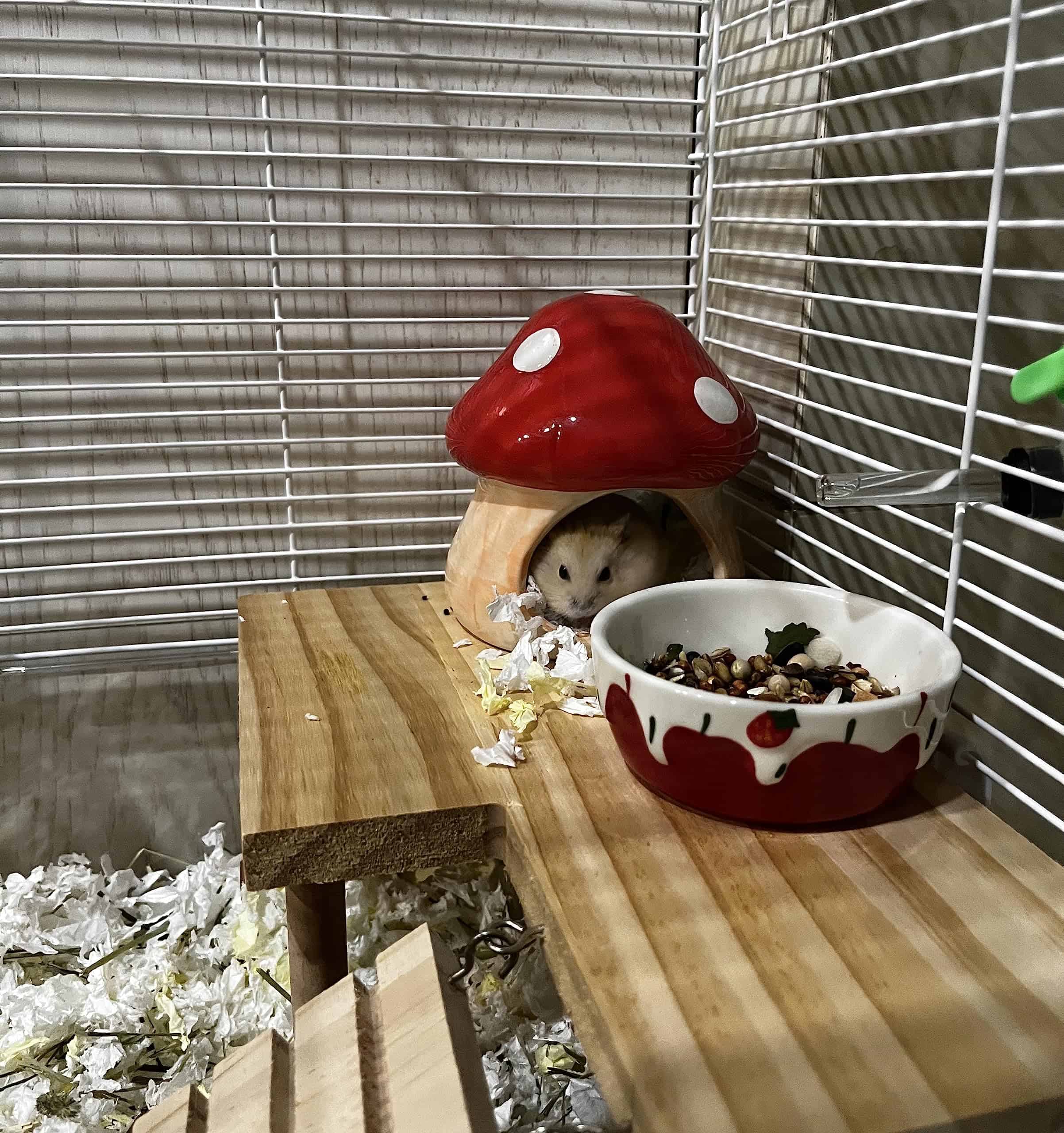 Casa de hámster en forma de champiñón de cerámica YZHZOM - Imagen 6