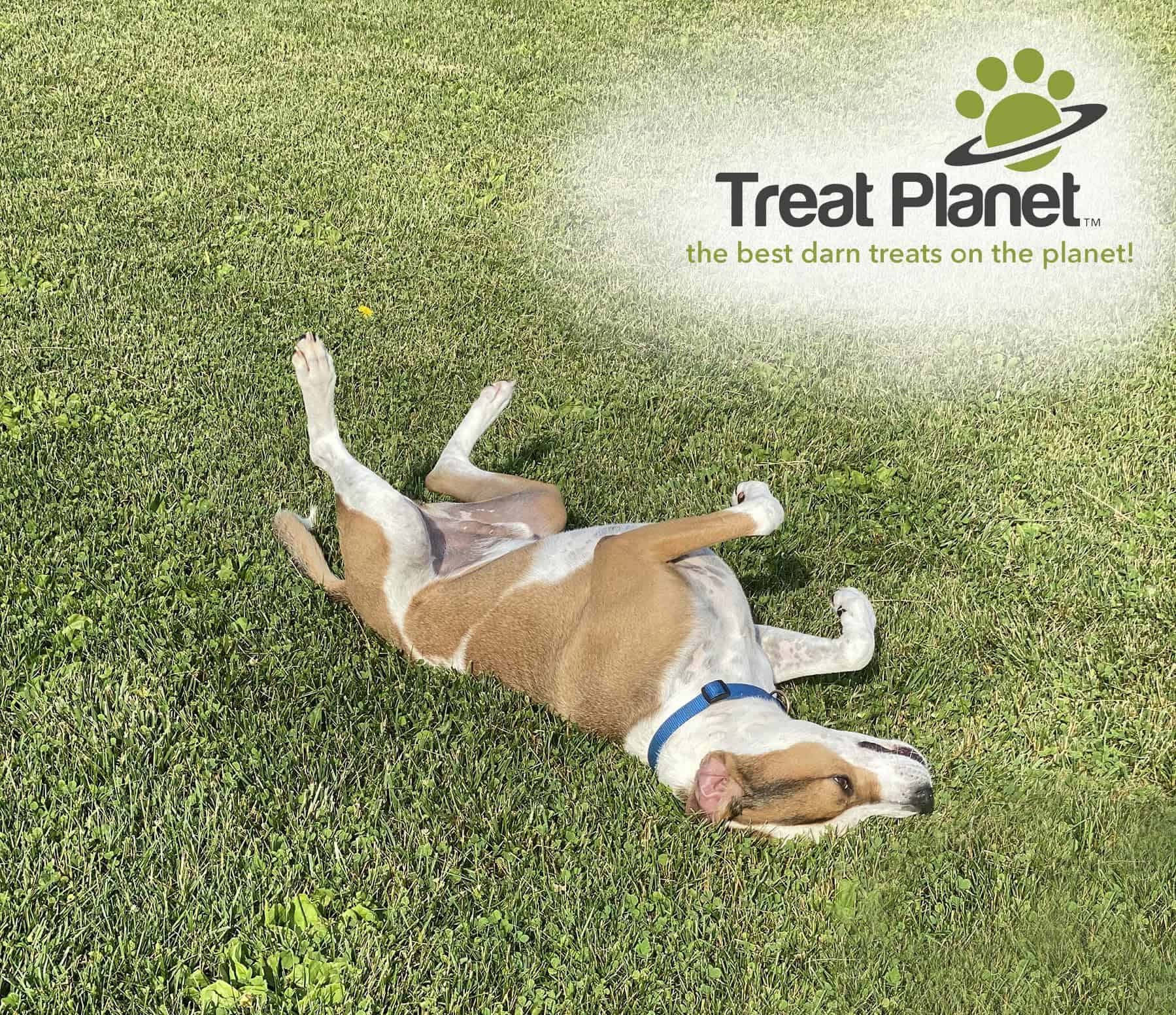 ETTA SAYS! Premios de Entrenamiento de Tocino para Perros - Imagen 6