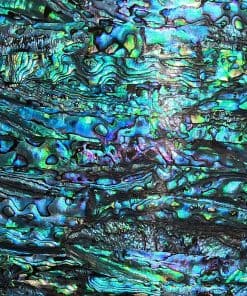 Lámina de Concha de Abulón Azul GOMMO Mejorada para