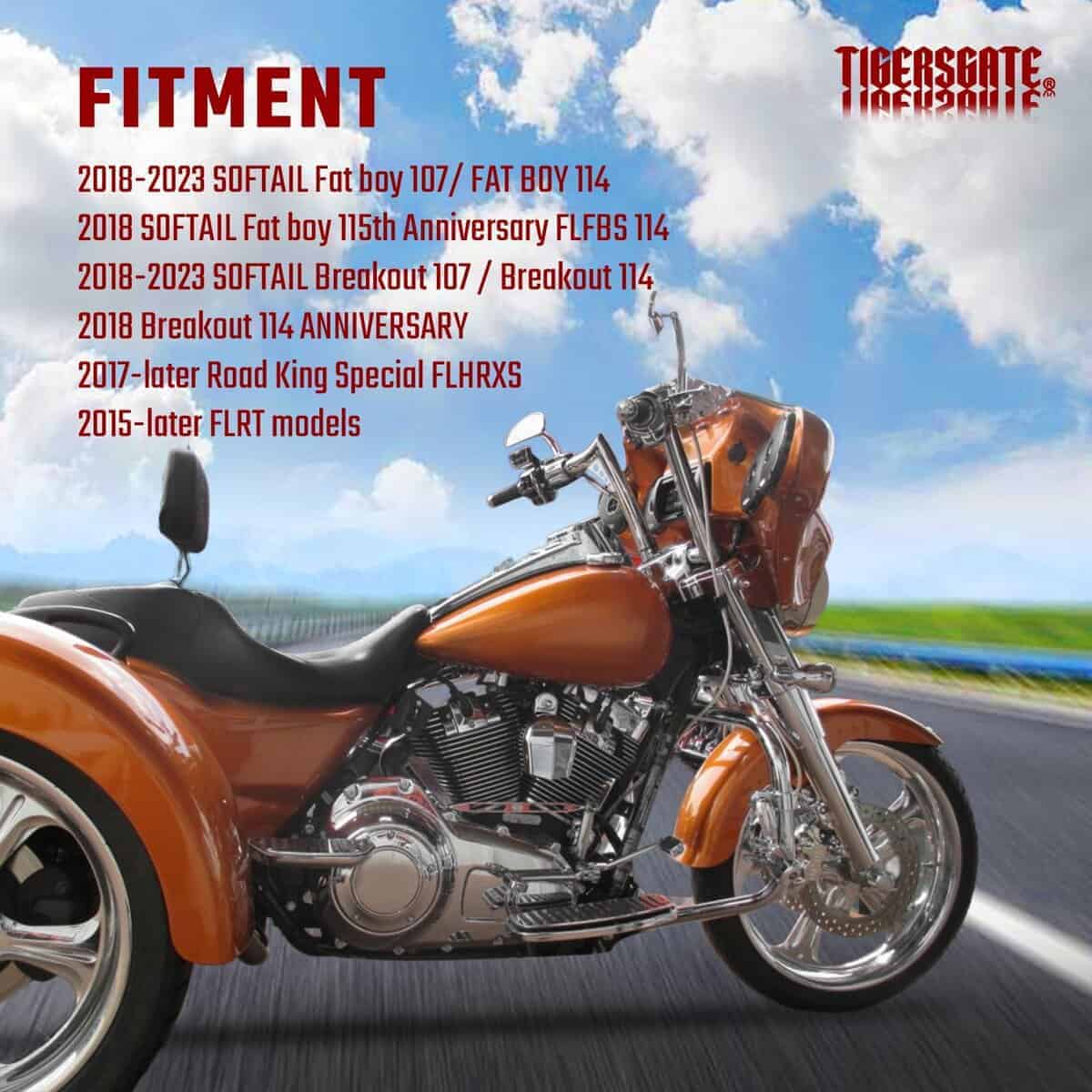 Manillar TIGERSGATE PRE-WIRED 12" Rise Diablo Ape Hangers 1 - Imagen 3