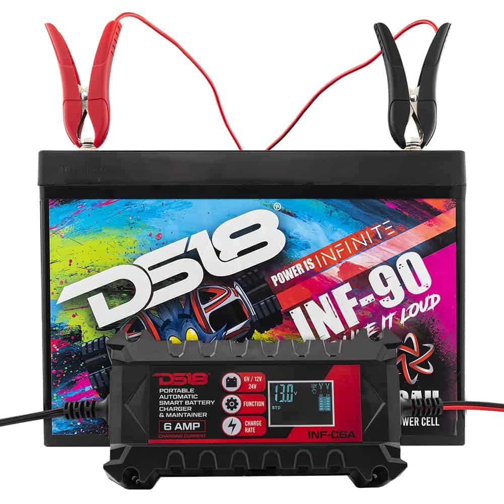 Cargador de Batería para Automóvil DS18 INF-C6A 6V/12V, - Imagen 7