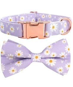 Collar para Perro de Niña Collar de Flores para Perro (S,